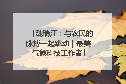 魏瑞江：与农民的脉搏一起跳动｜最美气象科技工作者