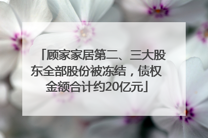 顾家家居第二、三大股东全部股份被冻结，债权金额合计约20亿元