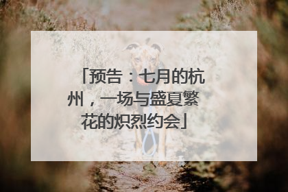预告：七月的杭州，一场与盛夏繁花的炽烈约会