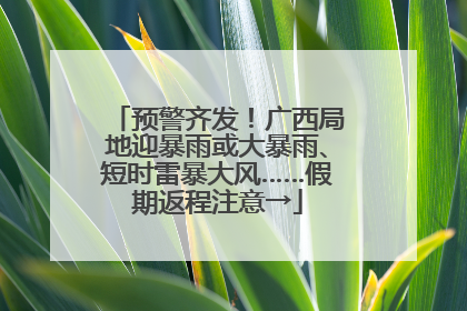 预警齐发！广西局地迎暴雨或大暴雨、短时雷暴大风……假期返程注意→