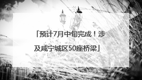 预计7月中旬完成！涉及咸宁城区50座桥梁