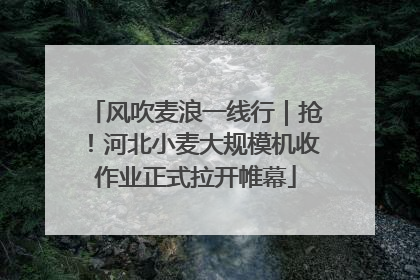 风吹麦浪一线行｜抢！河北小麦大规模机收作业正式拉开帷幕