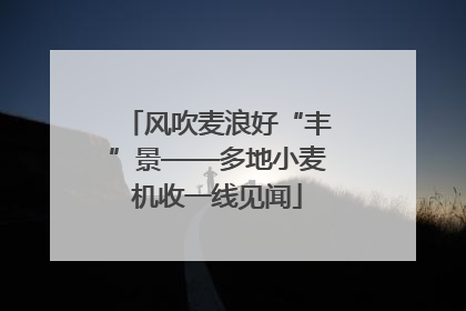 风吹麦浪好“丰”景——多地小麦机收一线见闻