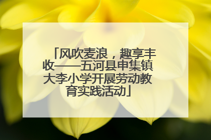 风吹麦浪，趣享丰收——五河县申集镇大李小学开展劳动教育实践活动