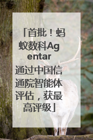 首批！蚂蚁数科Agentar通过中国信通院智能体评估，获最高评级