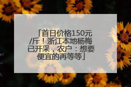 首日价格150元/斤！浙江本地杨梅已开采，农户：想要便宜的再等等