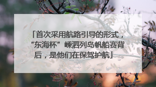 首次采用航路引导的形式，“东海杯”嵊泗列岛帆船赛背后，是他们在保驾护航