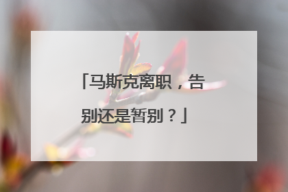 马斯克离职，告别还是暂别？