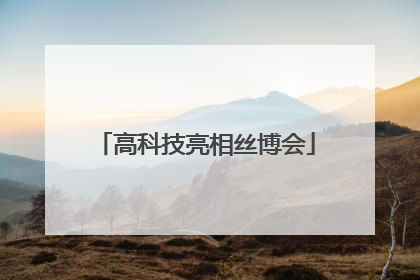 高科技亮相丝博会