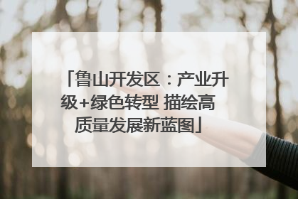 鲁山开发区：产业升级+绿色转型 描绘高质量发展新蓝图