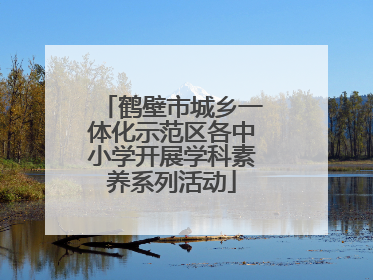 鹤壁市城乡一体化示范区各中小学开展学科素养系列活动