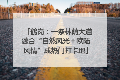 鹤岗：一条林荫大道融合“自然风光＋欧陆风情”成热门打卡地