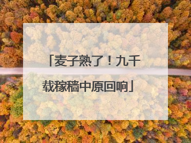 麦子熟了！九千载稼穑中原回响