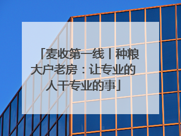 麦收第一线丨种粮大户老房：让专业的人干专业的事