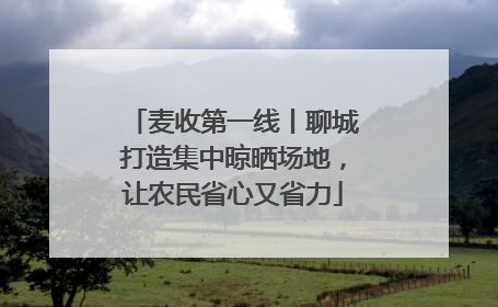 麦收第一线丨聊城打造集中晾晒场地，让农民省心又省力