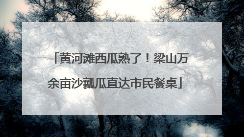 黄河滩西瓜熟了！梁山万余亩沙瓤瓜直达市民餐桌