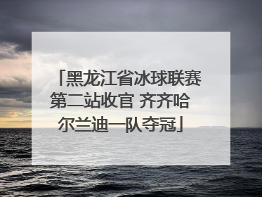 黑龙江省冰球联赛第二站收官 齐齐哈尔兰迪一队夺冠