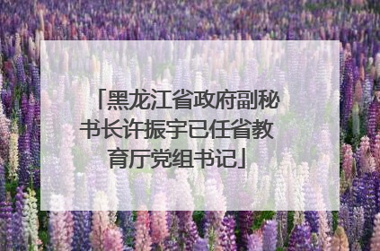 黑龙江省政府副秘书长许振宇已任省教育厅党组书记
