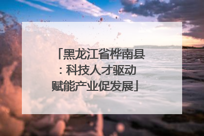 黑龙江省桦南县：科技人才驱动 赋能产业促发展