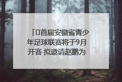 ﻿首届安徽省青少年足球联赛将于9月开赛 拟邀请赵鹏为先导赛开球