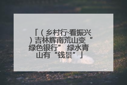（乡村行·看振兴）吉林辉南荒山变“绿色银行” 绿水青山有“钱景”
