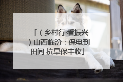 （乡村行·看振兴）山西临汾：保电到田间 抗旱保丰收