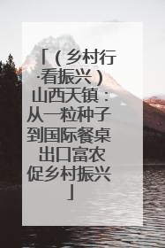 （乡村行·看振兴）山西天镇：从一粒种子到国际餐桌 出口富农促乡村振兴