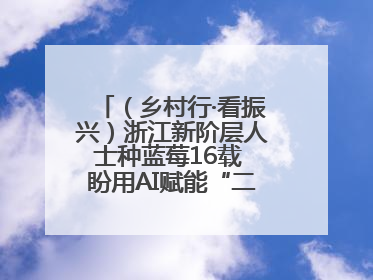 （乡村行·看振兴）浙江新阶层人士种蓝莓16载 盼用AI赋能“二次创业”