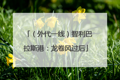 （外代一线）智利巴拉斯港：龙卷风过后