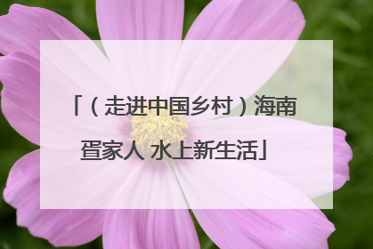 （走进中国乡村）海南疍家人 水上新生活