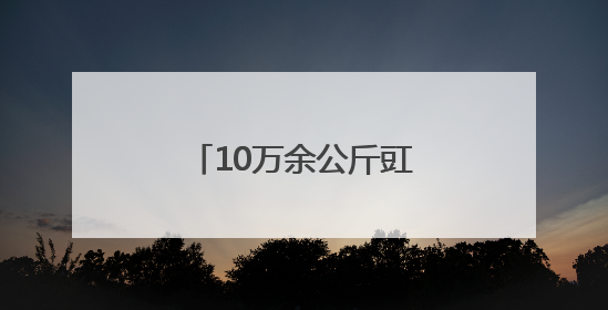 10万余公斤豇豆货款一分没少