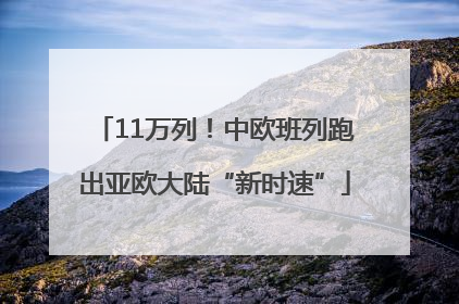 11万列！中欧班列跑出亚欧大陆“新时速”