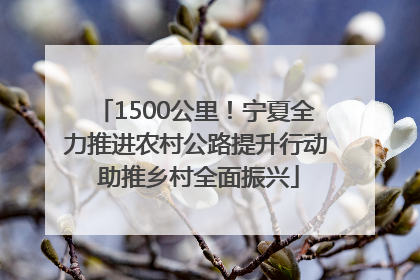 1500公里！宁夏全力推进农村公路提升行动 助推乡村全面振兴