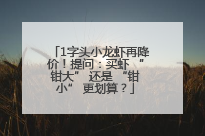 1字头小龙虾再降价！提问：买虾 “钳大” 还是 “钳小” 更划算？