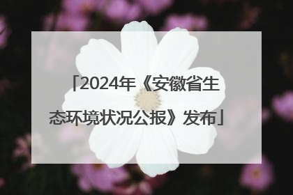 2024年《安徽省生态环境状况公报》发布