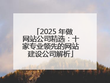 2025 年做网站公司精选：十家专业领先的网站建设公司解析