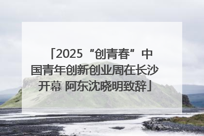 2025“创青春”中国青年创新创业周在长沙开幕 阿东沈晓明致辞