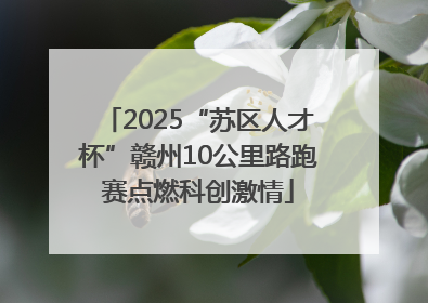 2025“苏区人才杯”赣州10公里路跑赛点燃科创激情