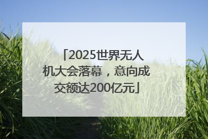 2025世界无人机大会落幕，意向成交额达200亿元