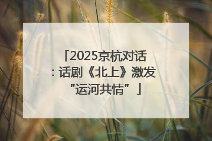 2025京杭对话：话剧《北上》激发“运河共情”