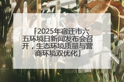 2025年宿迁市六五环境日新闻发布会召开，生态环境质量与营商环境双优化