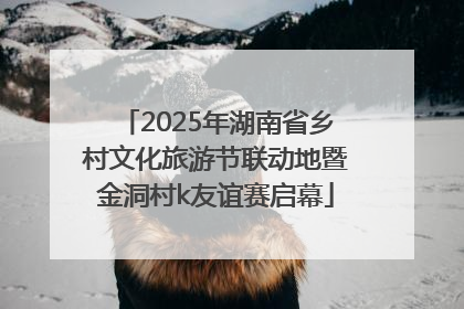 2025年湖南省乡村文化旅游节联动地暨金洞村k友谊赛启幕