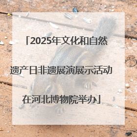 2025年文化和自然遗产日非遗展演展示活动在河北博物院举办
