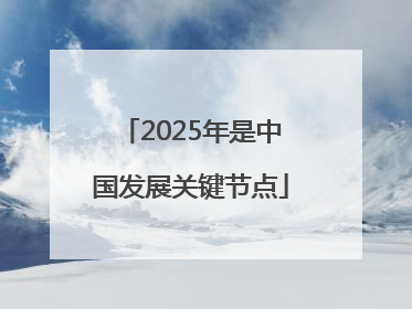 2025年是中国发展关键节点