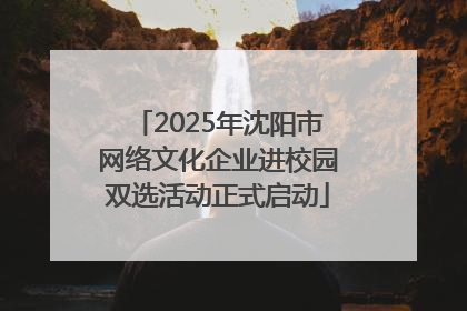 2025年沈阳市网络文化企业进校园双选活动正式启动