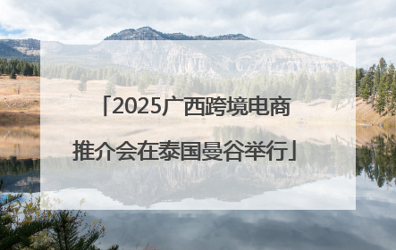 2025广西跨境电商推介会在泰国曼谷举行