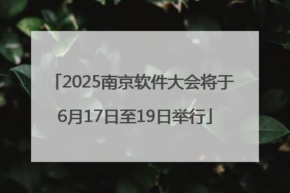 2025南京软件大会将于6月17日至19日举行