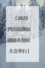 2025四川省微短剧剧本创投大会举行