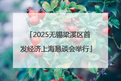 2025无锡梁溪区首发经济上海恳谈会举行