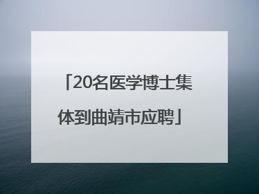 20名医学博士集体到曲靖市应聘